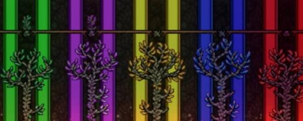 泰拉瑞亚宝石树多久成熟一次