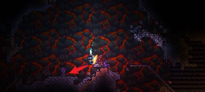 泰拉瑞亚宝石树成熟时间攻略