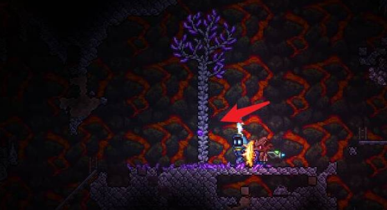 泰拉瑞亚宝石树成熟时间攻略