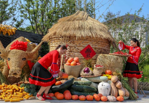 2023年兔年几龙治水几牛耕田3