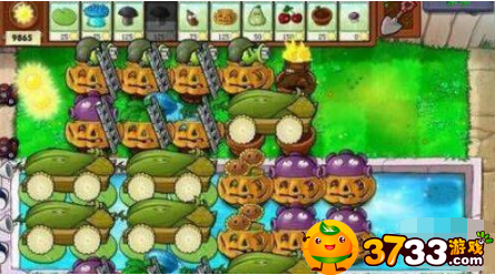 植物大战僵尸无尽模式什么阵容比较好