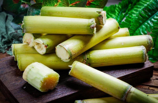 甘蔗加热是煮还是热水烫一下1