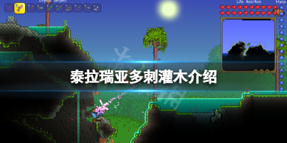 游侠网1