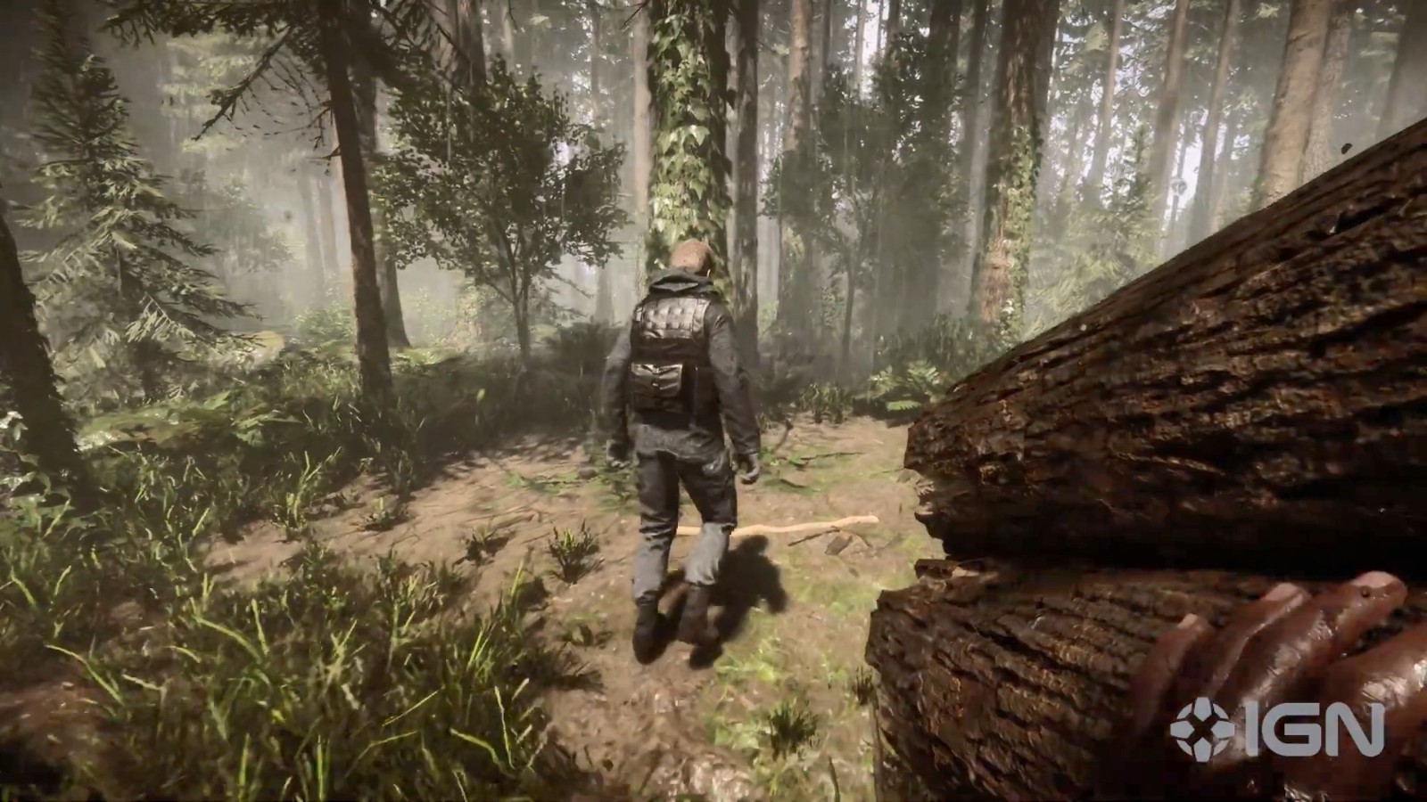 《森林之子》多人演示视频发布