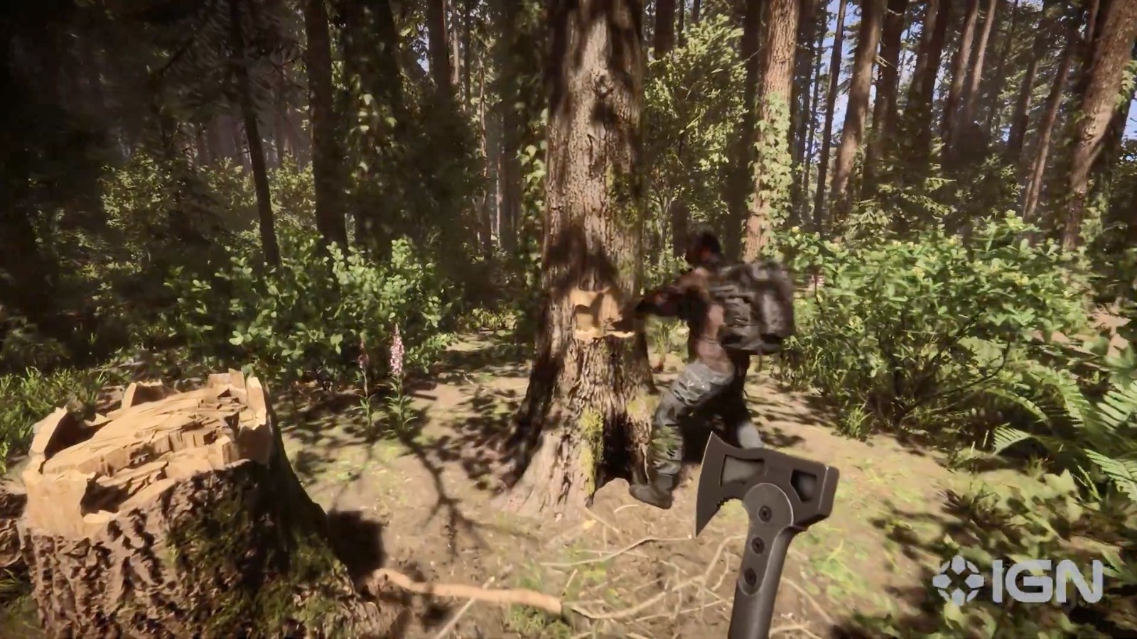 《森林之子》多人演示视频发布