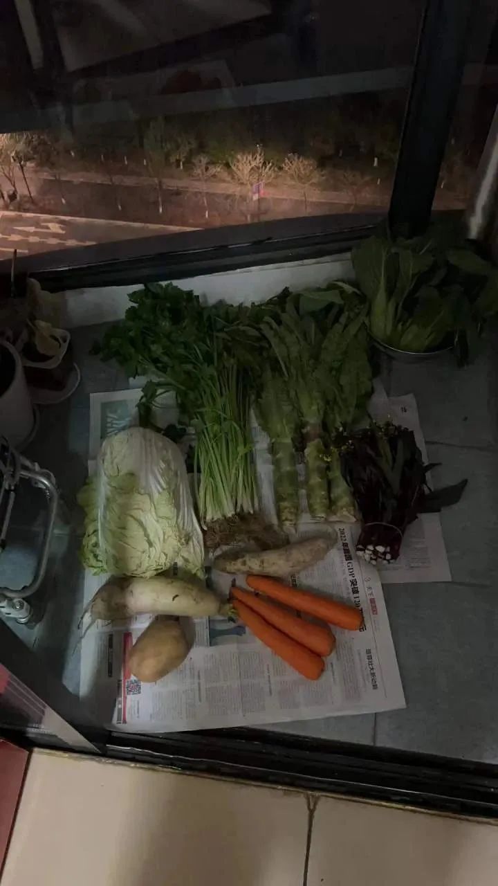 冲上热搜，全国各地纷纷参赛！女子返杭前晒图：都是爸妈的爱啊