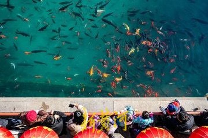 泉城气温回升 游人在美景中沐浴暖阳