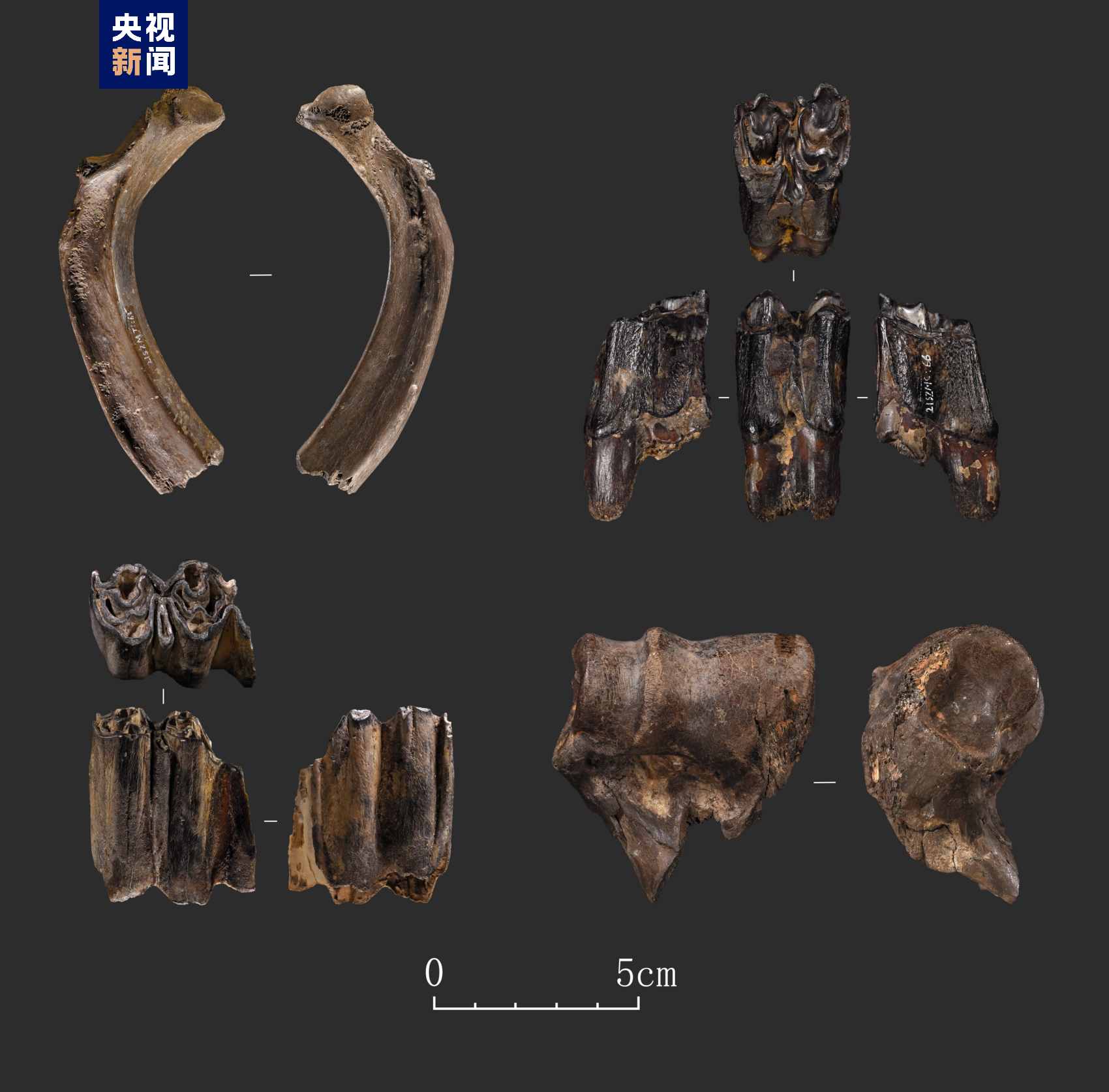 距今4万多年！四川资阳濛溪河遗址新发现一处旧石器遗址