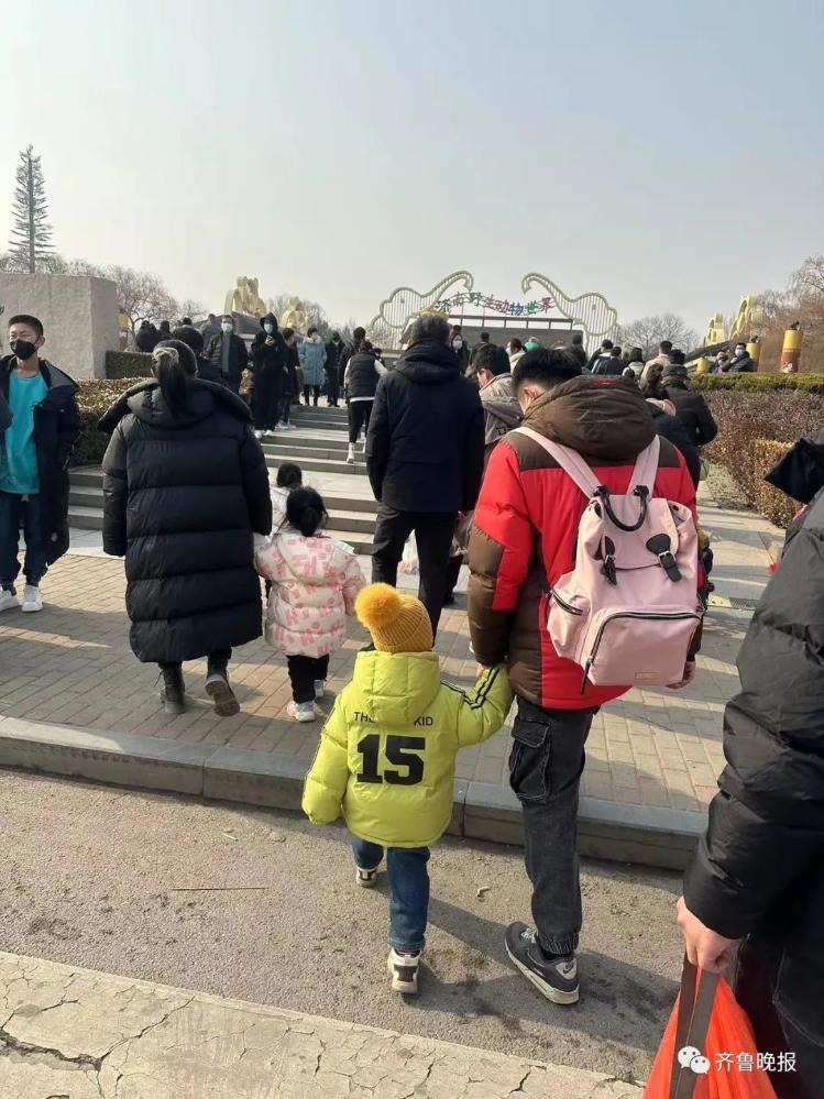 山东多个景区人气“爆棚”，导航“红到发紫”！过年的烟火气又回来了