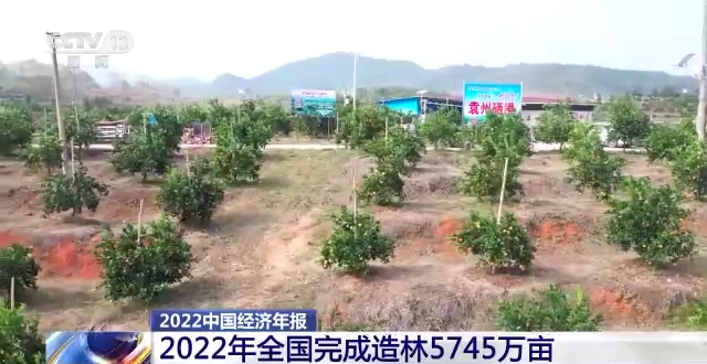 产值达8.04万亿元 造林5745万亩 我国林业产业交出亮眼成绩单