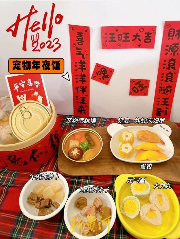 兔年春节宠物产业“吸金” ，“美容”“年夜饭”“写真” 应有尽有