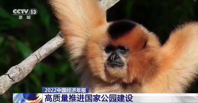 产值达8.04万亿元 造林5745万亩 我国林业产业交出亮眼成绩单