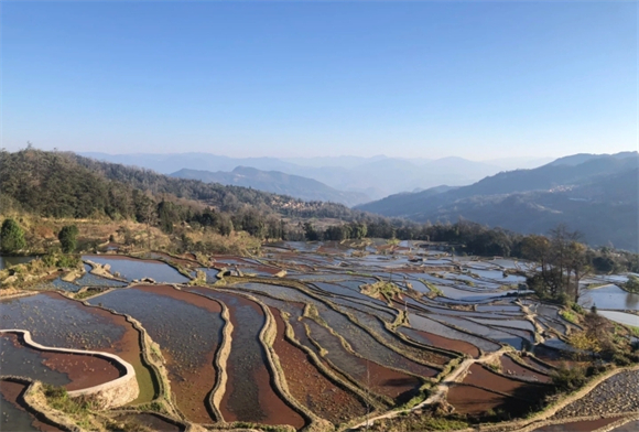 三亚“平替”旅游地走俏？这些人选择了“反向操作”