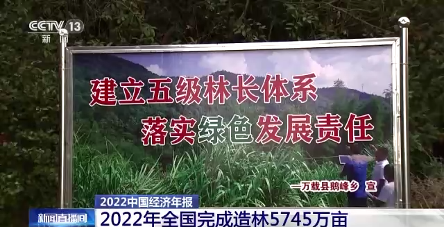 产值达8.04万亿元 造林5745万亩 我国林业产业交出亮眼成绩单