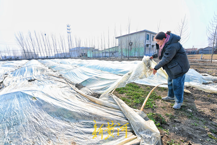 85后幼师辞掉教师编制 转行新农人年入500万元 