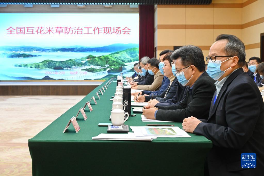 我国启动互花米草防治专项行动