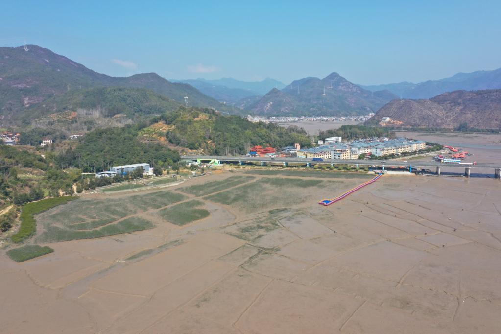 我国启动互花米草防治专项行动