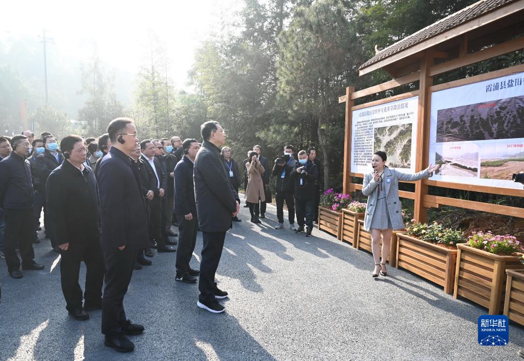 我国启动互花米草防治专项行动