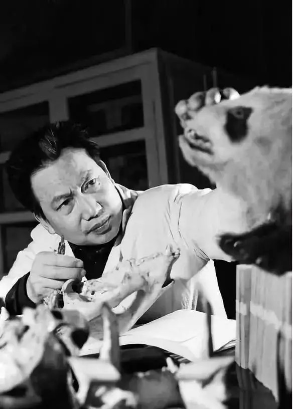 “熊猫教父” 胡锦矗去世，曾建立世界上首个野生大熊猫观察站