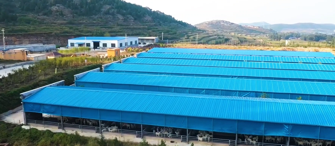 全力以赴拼经济!济南各区县奋战开门红