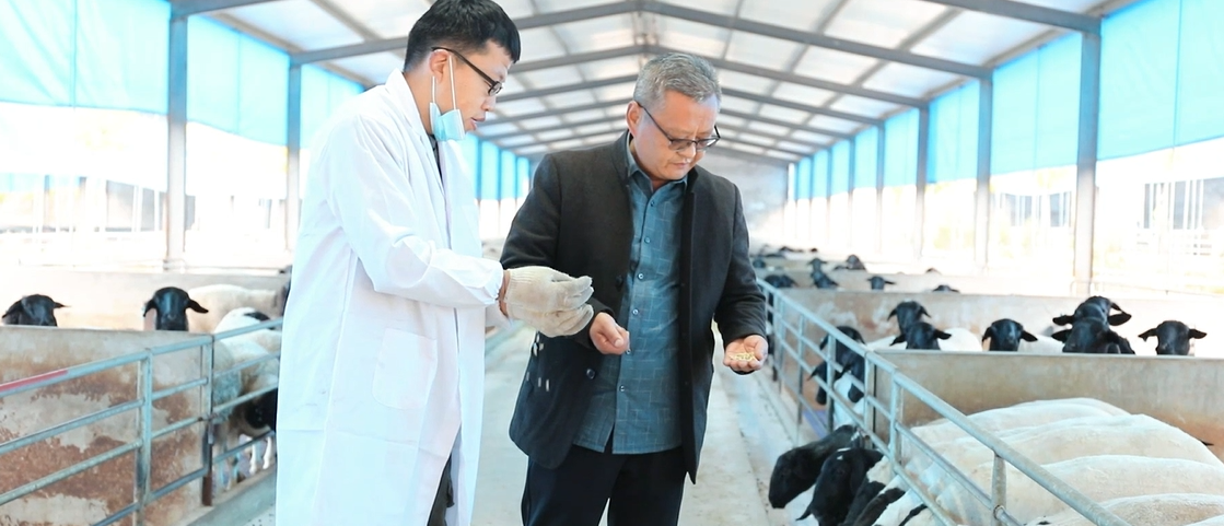 全力以赴拼经济!济南各区县奋战开门红