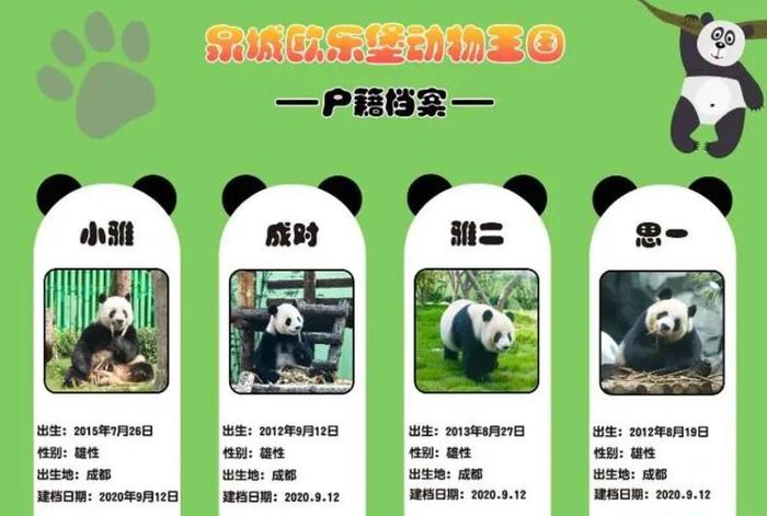 藏不住了！济南是这么对国宝的？