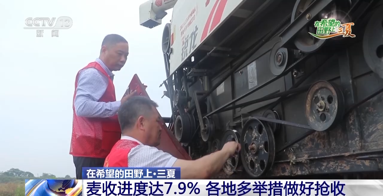 抢收小麦、采挖芦笋......这是三夏时节的丰收