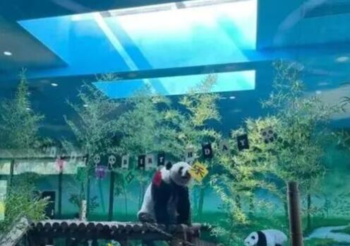 藏不住了！济南是这么对国宝的？