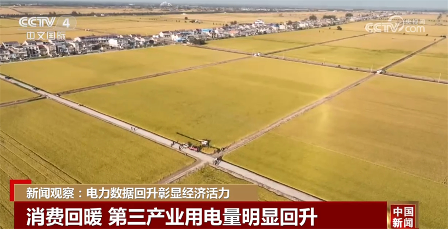 电力数据回升彰显中国经济活力 多部门积极应对用电高峰
