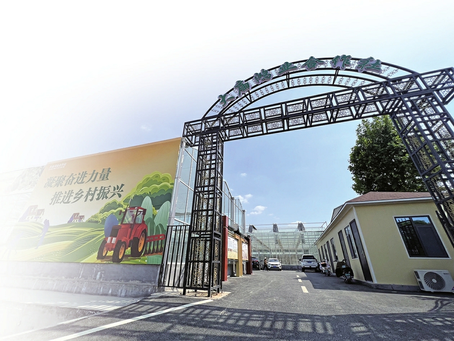 党组织领办合作社 拓宽村民幸福路 陡沟街道打造强村富民新引擎