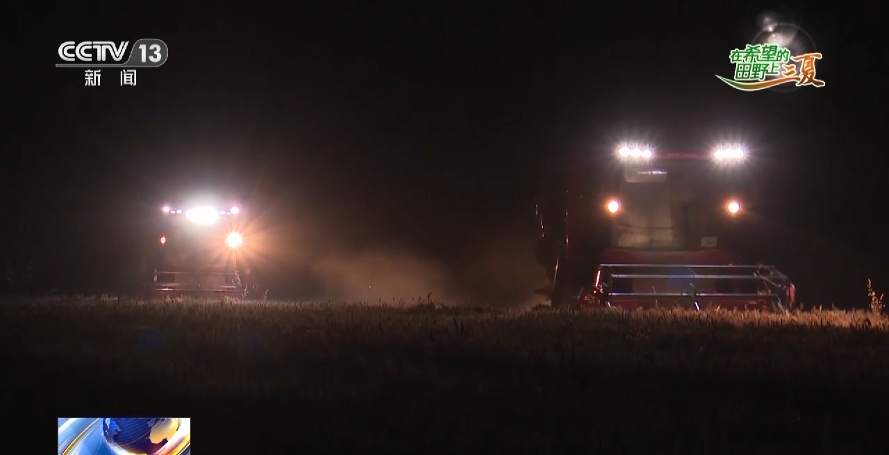 抢收小麦、采挖芦笋......这是三夏时节的丰收