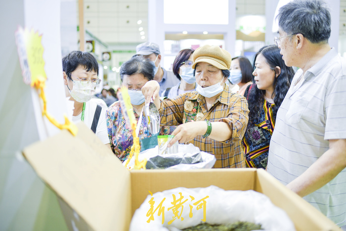百余种名茶集中亮相，周末来茶博会“茶”看不一样的精彩