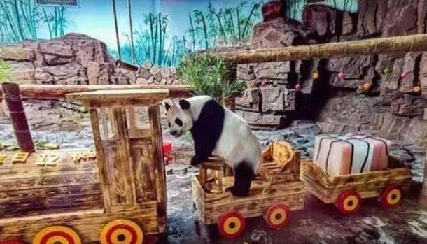 藏不住了！济南是这么对国宝的？