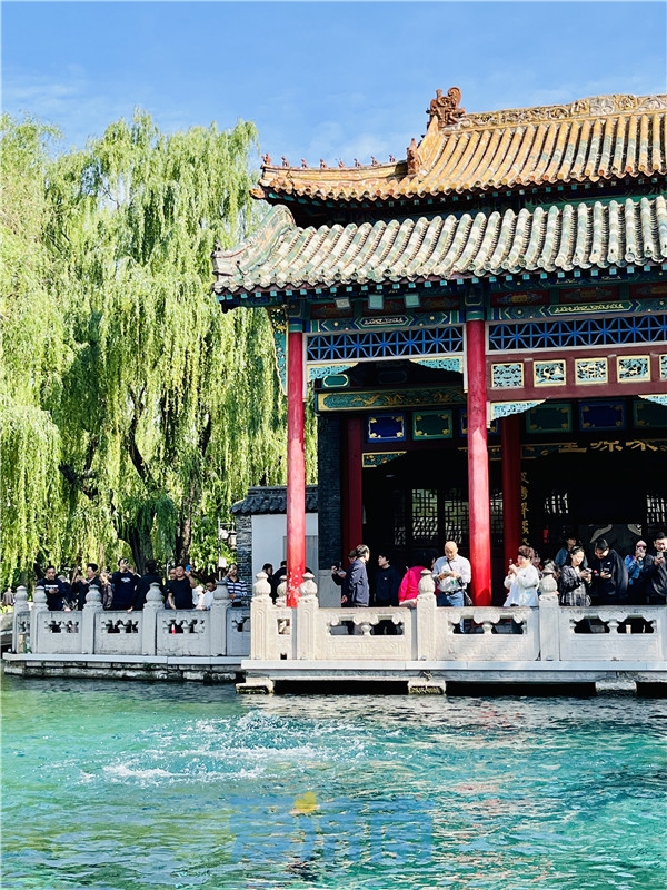 每天都在破纪录！“趵突腾空”已持续327天