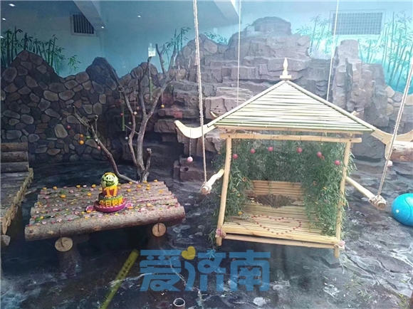 藏不住了！济南是这么对国宝的？