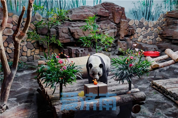 藏不住了！济南是这么对国宝的？