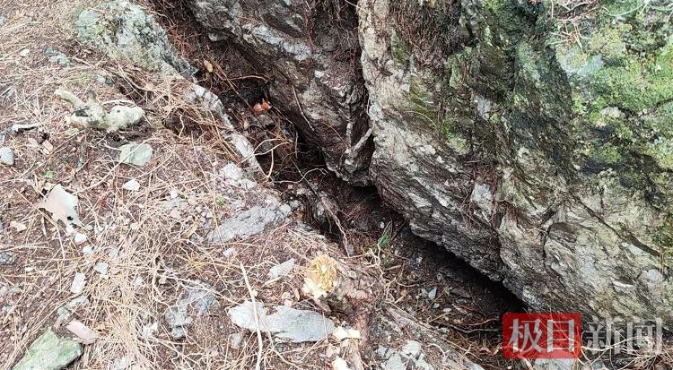 9岁男孩失踪13年后尸骨现身山林地缝，两名村妇被警方带走