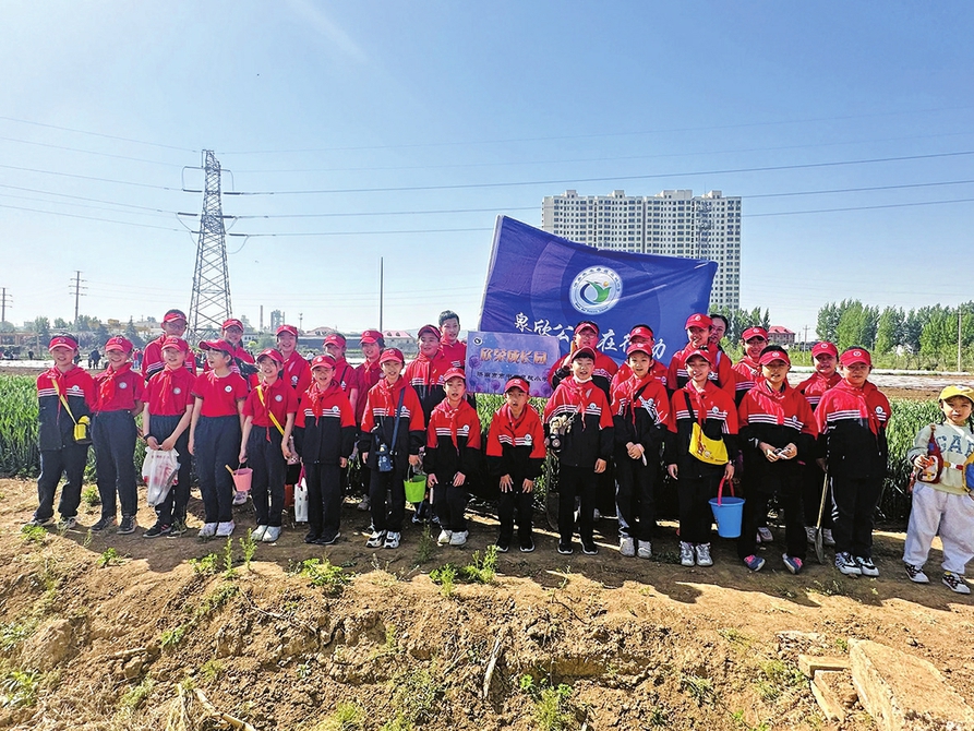 党组织领办合作社 拓宽村民幸福路 陡沟街道打造强村富民新引擎