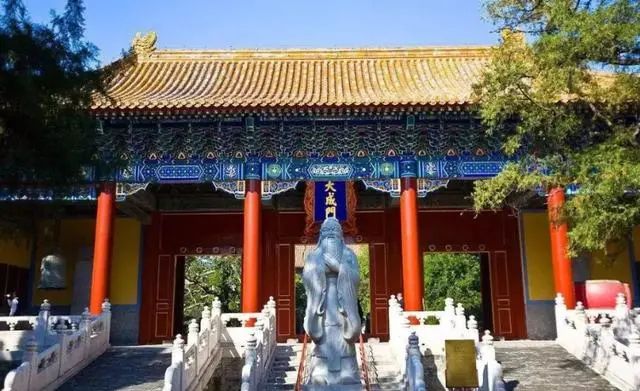 济南17岁女孩因“追星”，保送北京大学