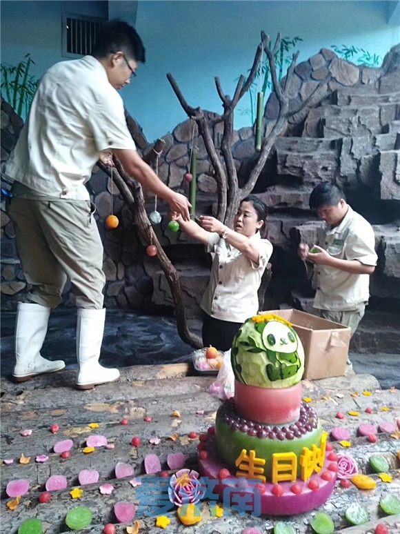 藏不住了！济南是这么对国宝的？