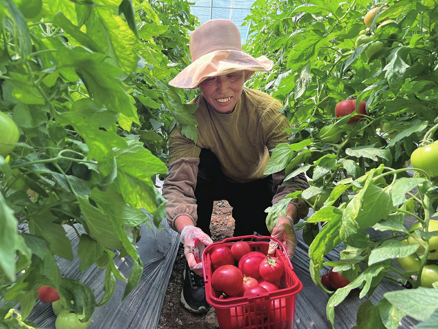 党组织领办合作社 拓宽村民幸福路 陡沟街道打造强村富民新引擎