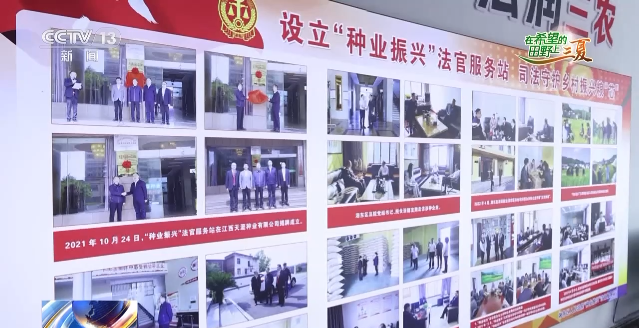 抢收小麦、采挖芦笋......这是三夏时节的丰收