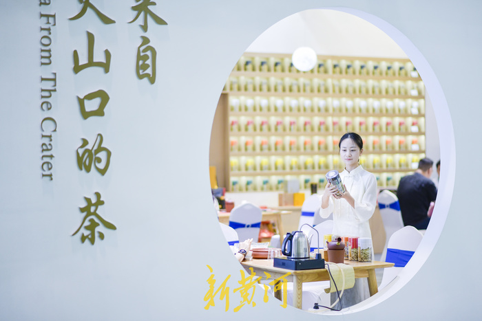百余种名茶集中亮相，周末来茶博会“茶”看不一样的精彩