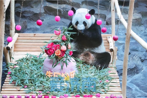 藏不住了！济南是这么对国宝的？