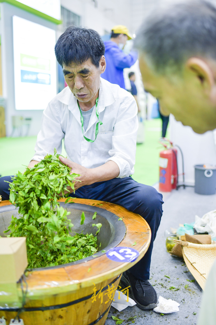 百余种名茶集中亮相，周末来茶博会“茶”看不一样的精彩