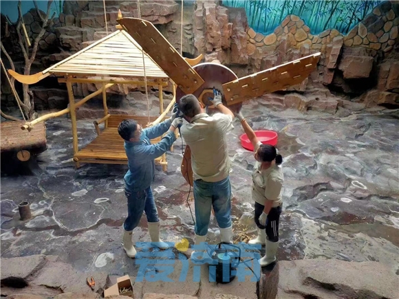 藏不住了！济南是这么对国宝的？