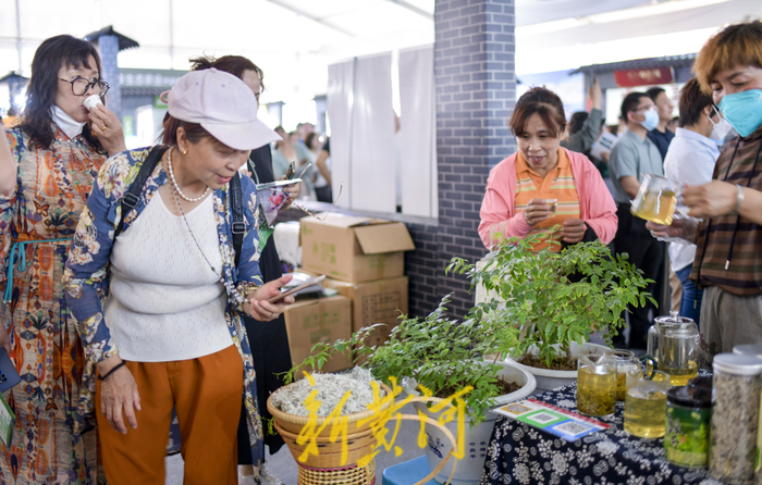茶博会开幕“茶香”溢泉城，九百家茶企邀市民品香茗