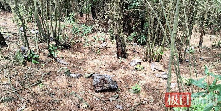 9岁男孩失踪13年后尸骨现身山林地缝，两名村妇被警方带走