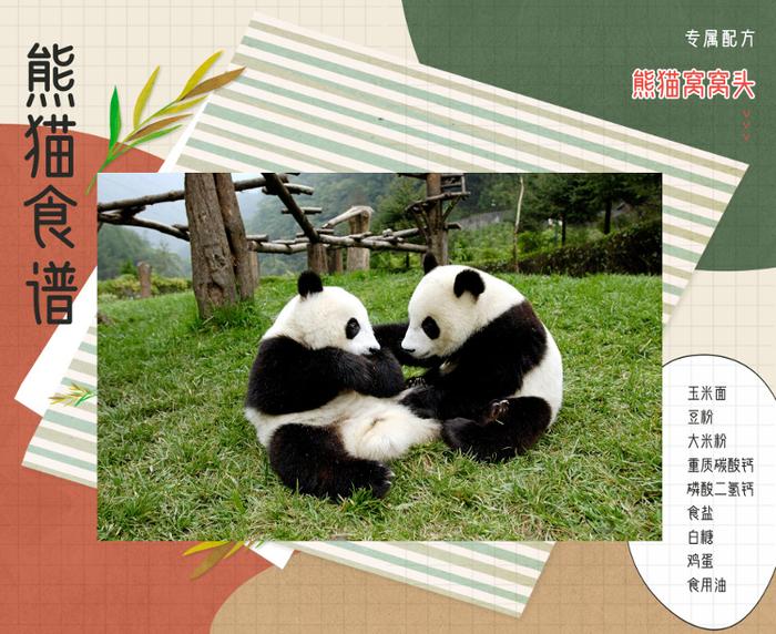 藏不住了！济南是这么对国宝的？