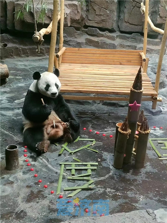 藏不住了！济南是这么对国宝的？